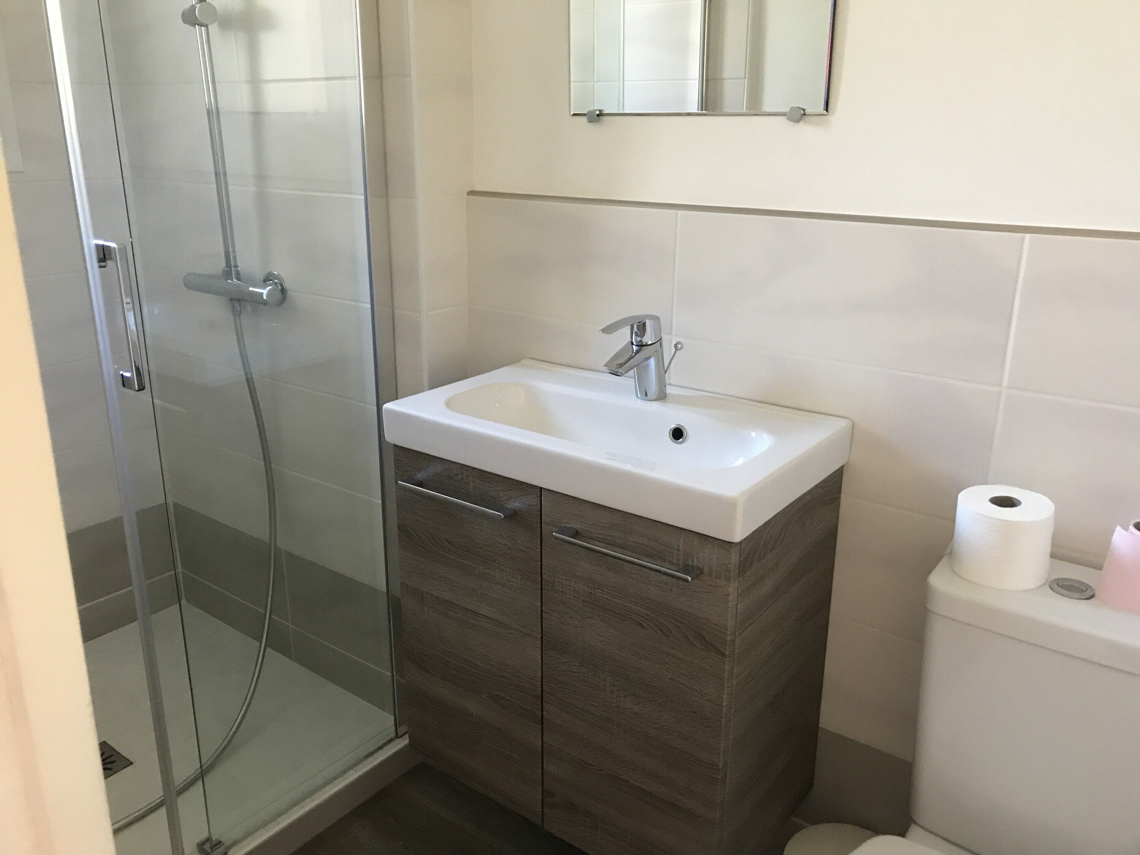 A bathroom with a glass-enclosed shower, a white sink with a modern faucet, and a toilet with a roll of toilet paper.