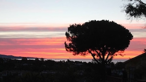 Silueta de un árbol contra un cielo al atardecer.