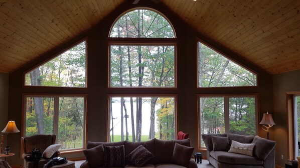 Una Smart TV, una chimenea, un reproductor de DVD, libros