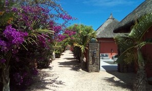 Property grounds - Charming villa (pointe aux piments)