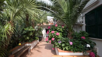 Vista al jardín