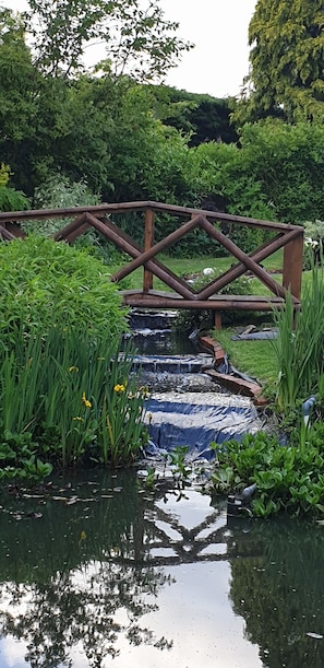Een houten brug over een vijver, omringd door groen, met een heldere weerspiegeling in het water.
