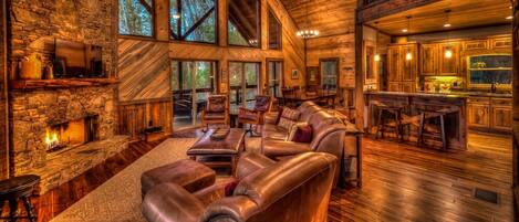 Télévision, cheminée, jeux vidéo