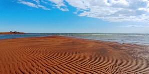 Accommodatie ligt op het strand, ligstoelen, strandlakens