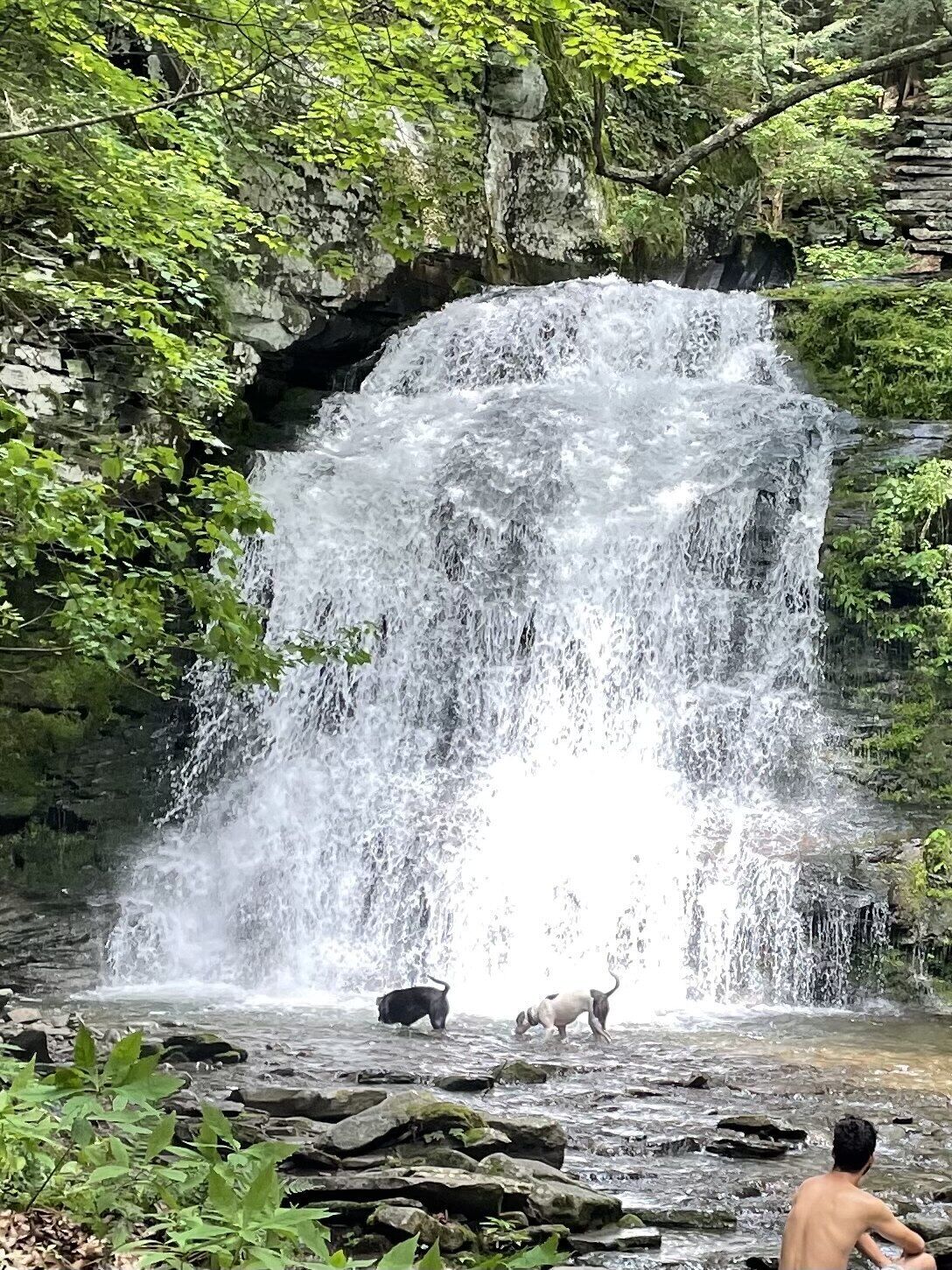 A waterfall in a forested area with a rocky ledge and a person sitting on the rocks.