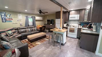 Smart TV, fireplace, DVD player, books