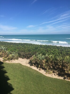 A beach with a grassy area and dense vegetation in the foreground.