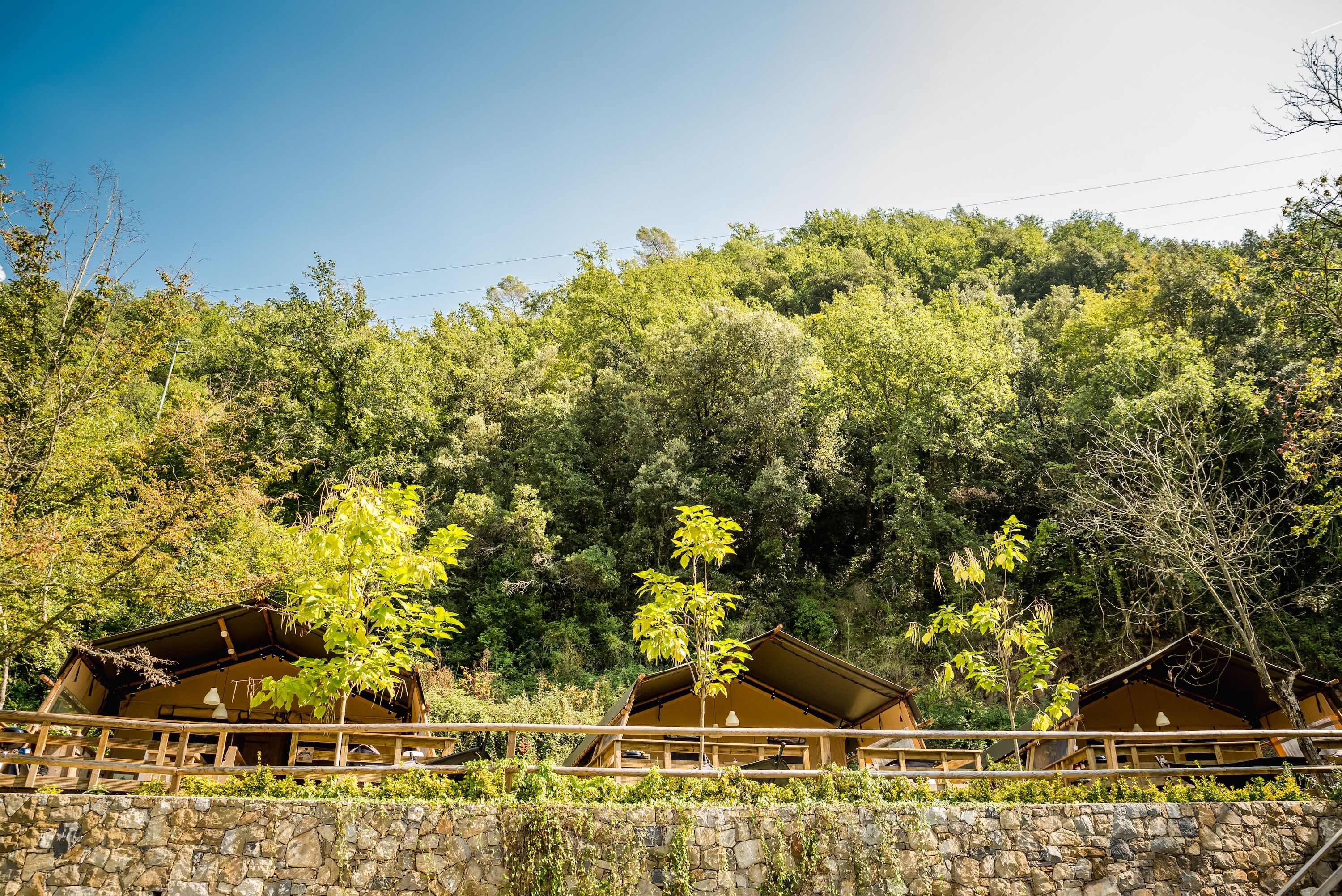 A row of traditional wooden cabins with a stone wall in front, set against a backdrop of dense forest.