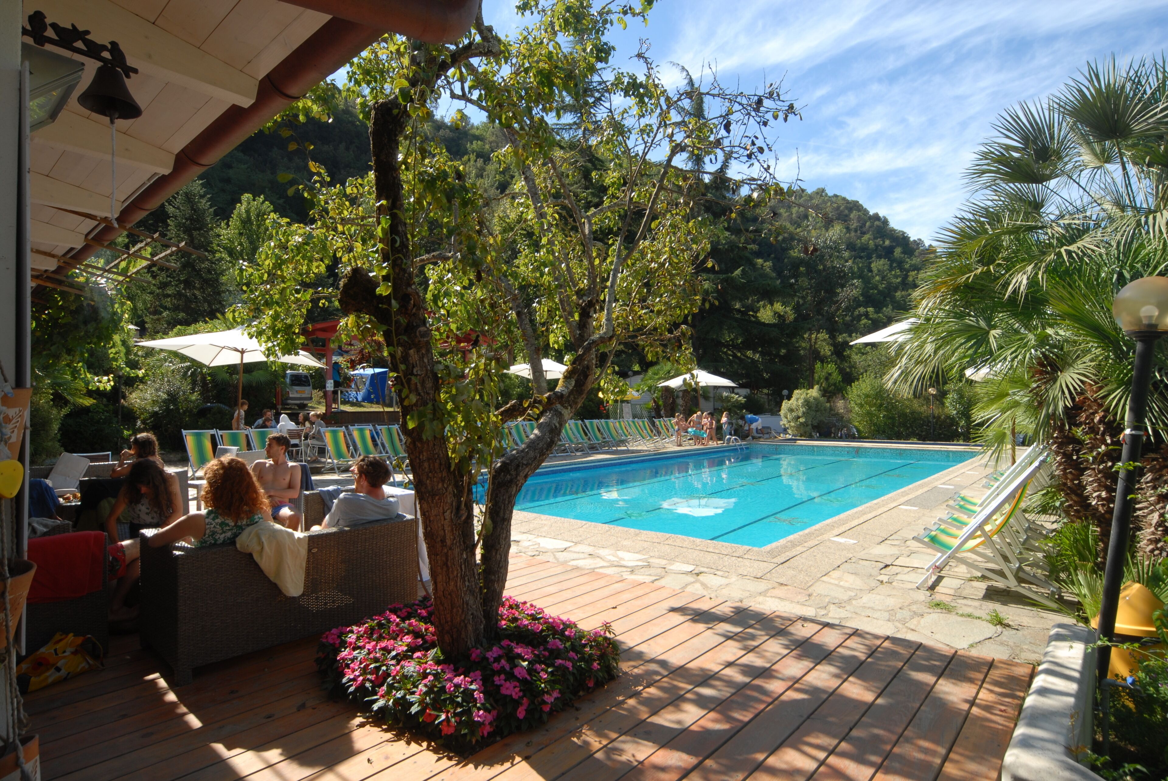 Área de piscina com espreguiçadeiras, uma piscina e uma árvore rodeada de flores.