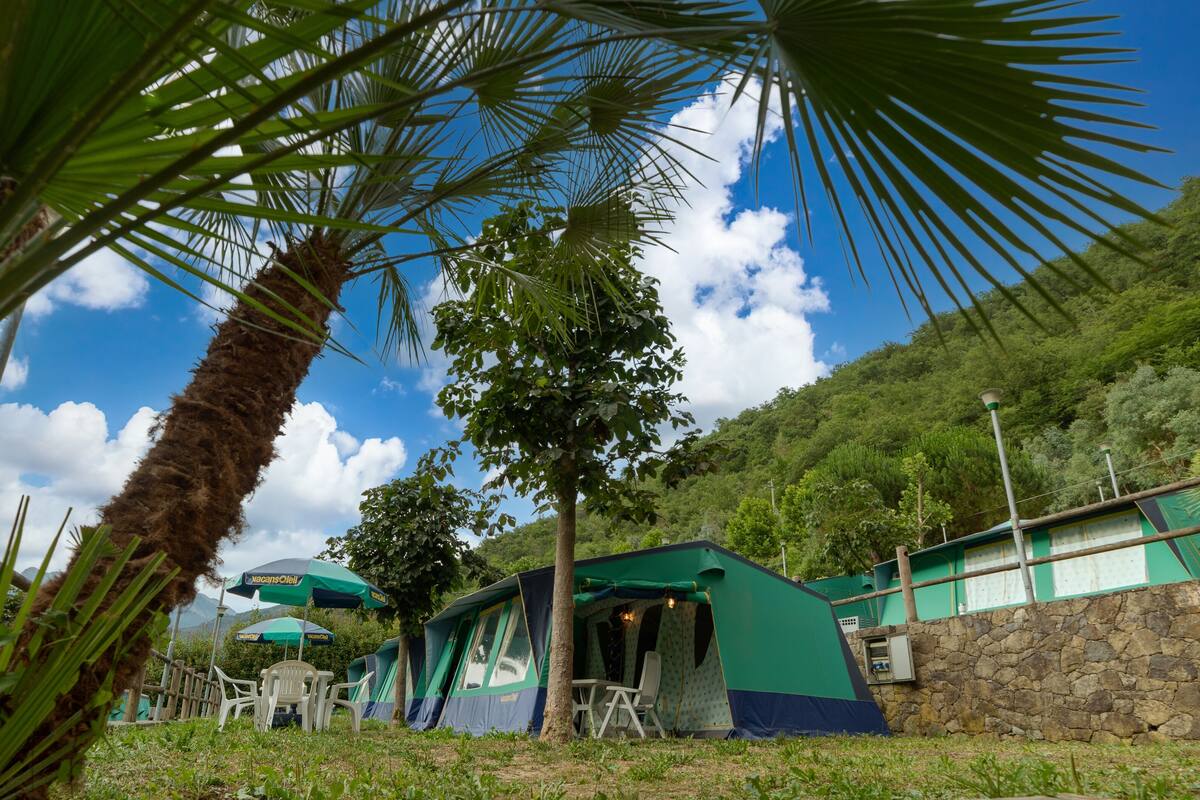 Un terrain de camping avec des tentes, un mur de pierre et un palmier.