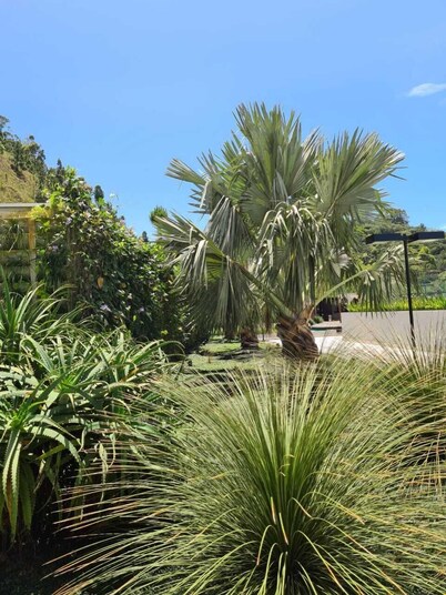 Apart Modern, airy, amazing view of the sea and Atlantic rainforest and Bal. Camboriu.
