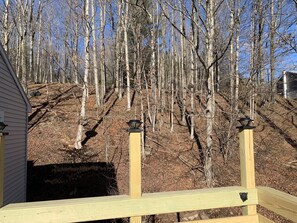Property grounds - Newly Renovated AC 4 ACRES 3000sqft home with Full Game Room (Hunter)