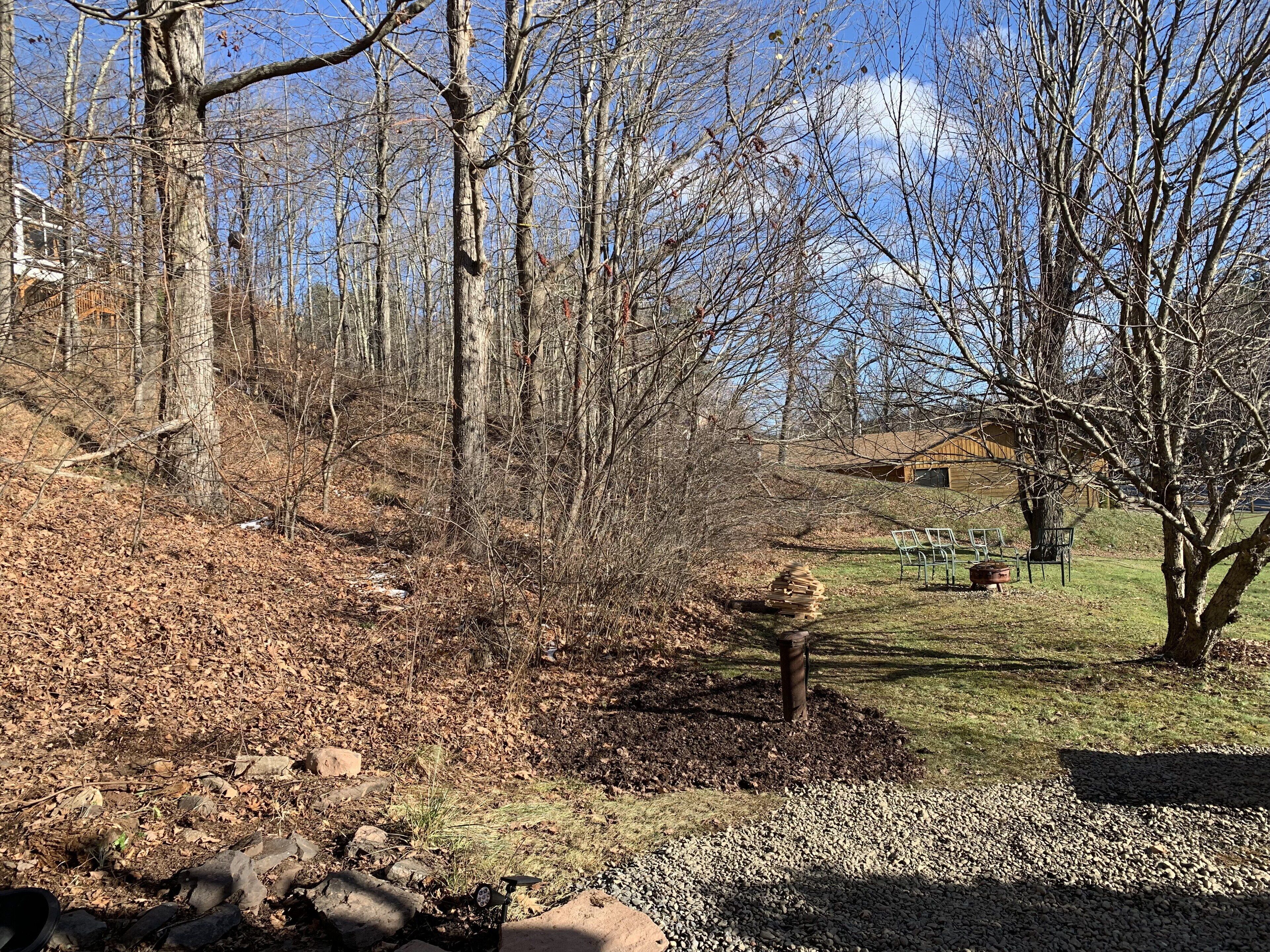 Un espace boisé avec un sentier de gravier, un banc en bois et un petit arbre.