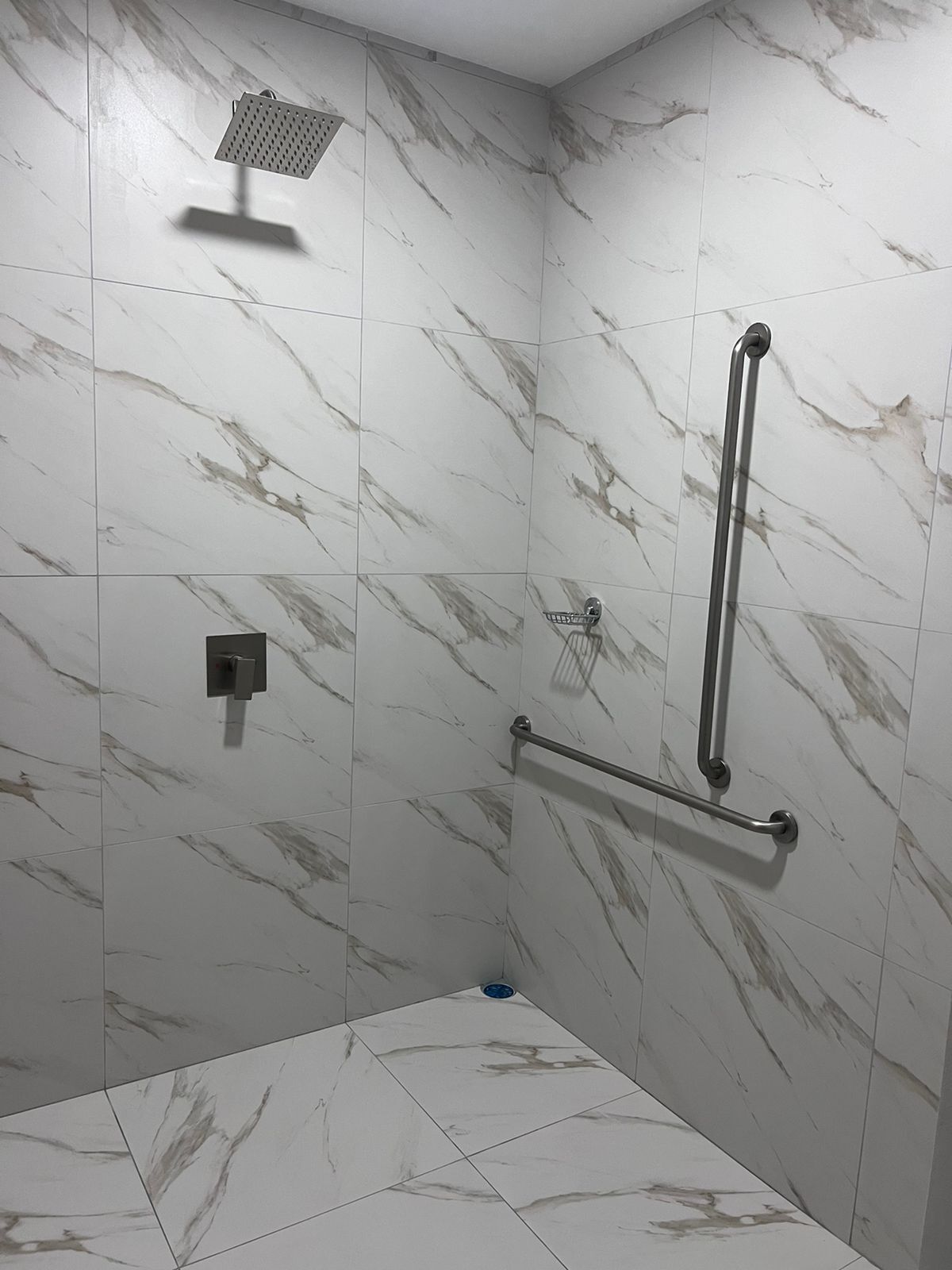 A shower area with a handrail, a showerhead, and a grab bar.