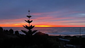 Ein Sonnenuntergang über dem Meer mit der Silhouette eines Baumes im Vordergrund.