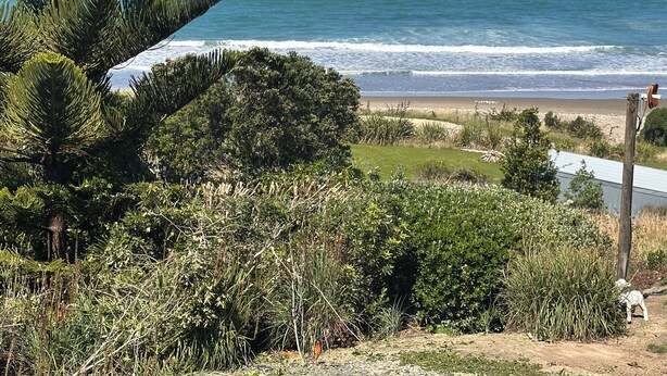 Eine Küstenlandschaft mit Strand, Meer und dichter Vegetation.