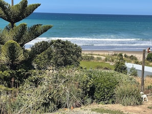 Beach nearby - Outstanding Sea Views; Lovely Accommodation (central hawkes)