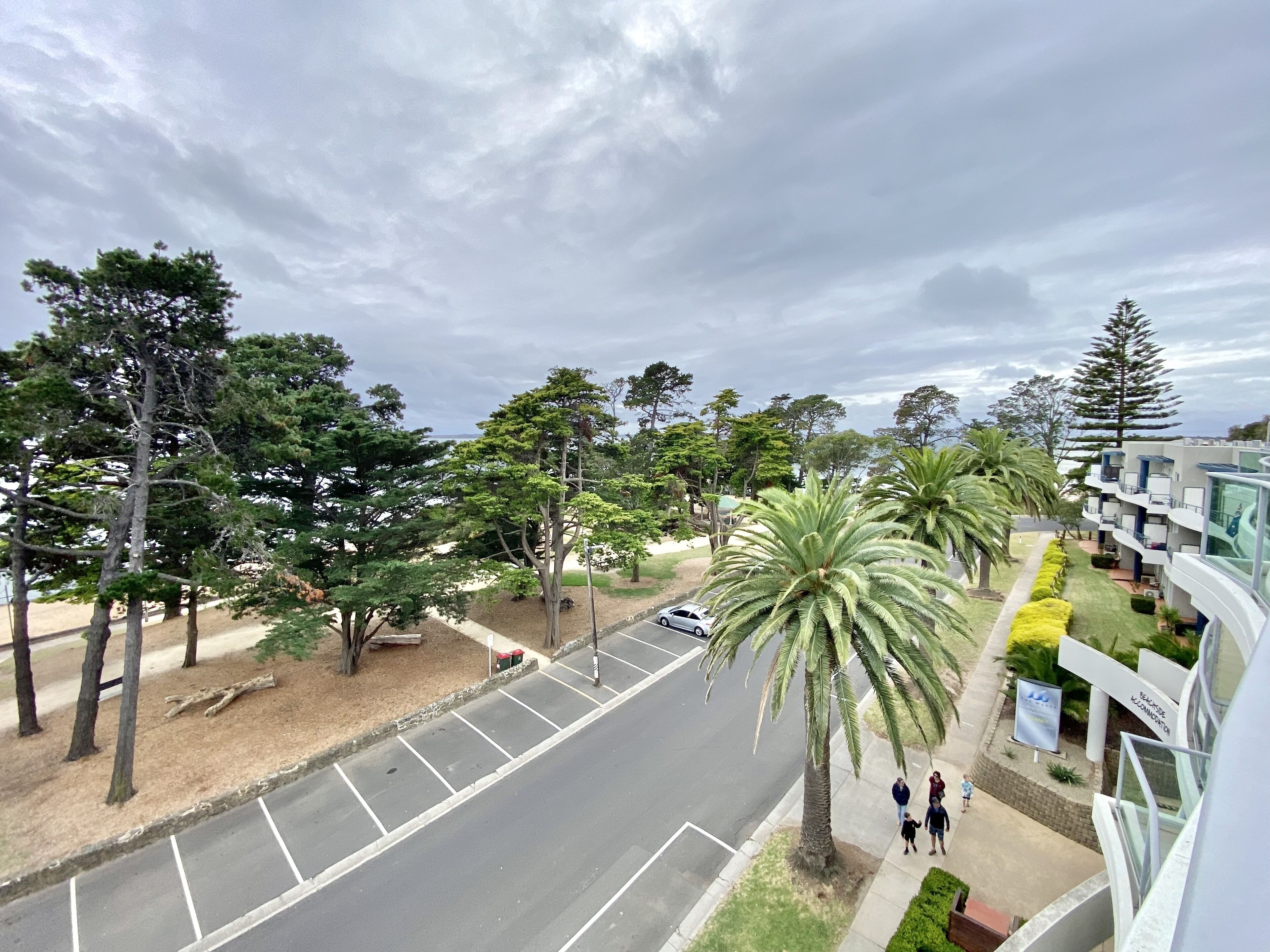 A street view with a modern building, trees, and a clear sky.