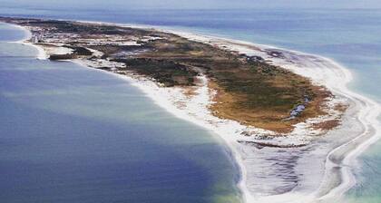 Shady Oaks Beach House - merinäköala