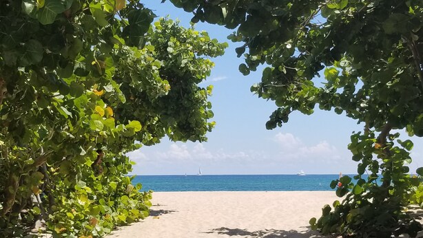 Camino bordeado por una vegetación exuberante que lleva a una playa de arena con un mar azul cristalino y veleros a lo lejos.