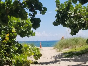 Beach nearby, sun-loungers, beach towels