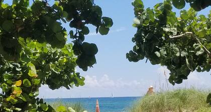 Close to it all, clean, safe and updated. A short walk to the beach and action.