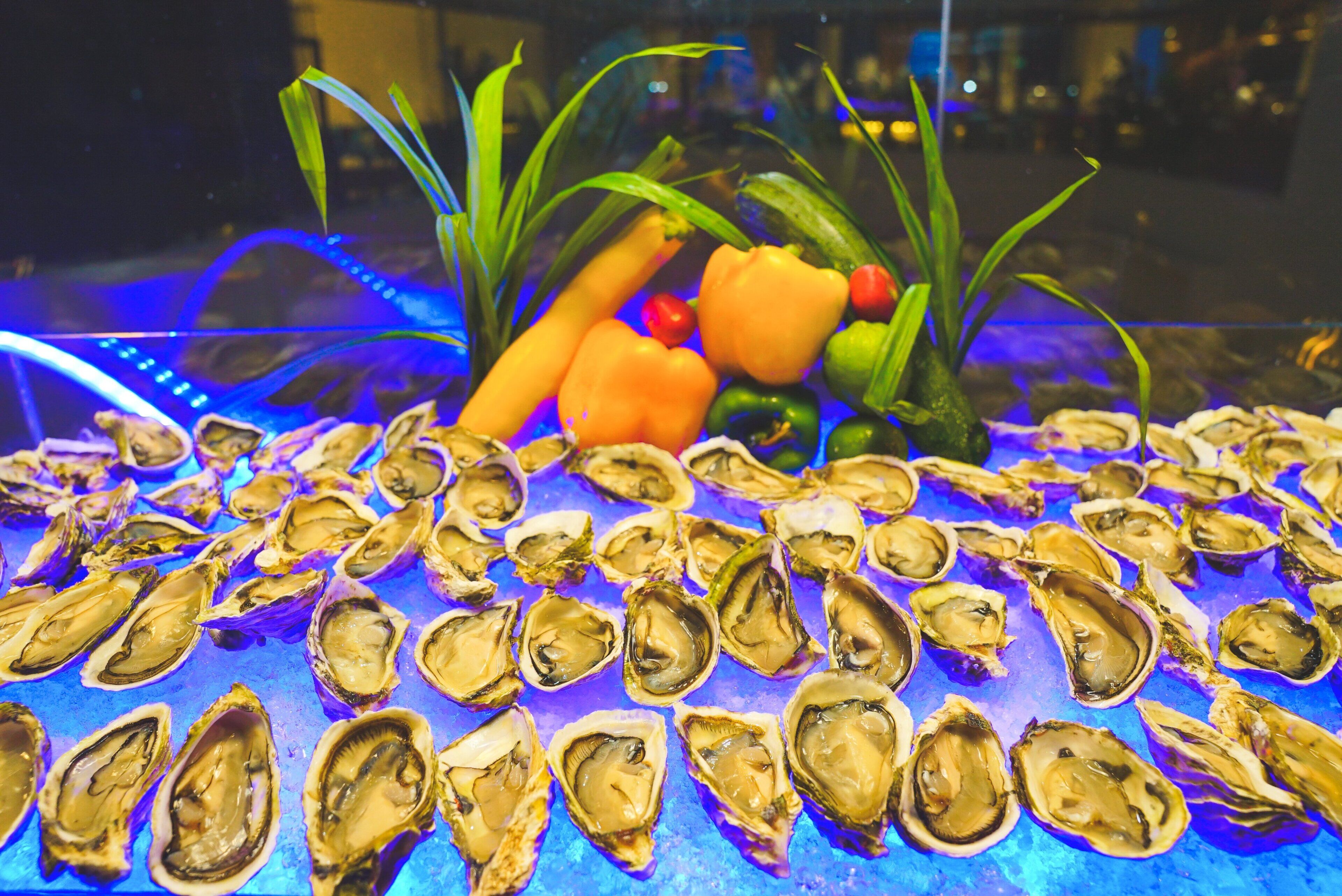 A display of oysters on ice with some vegetables.
