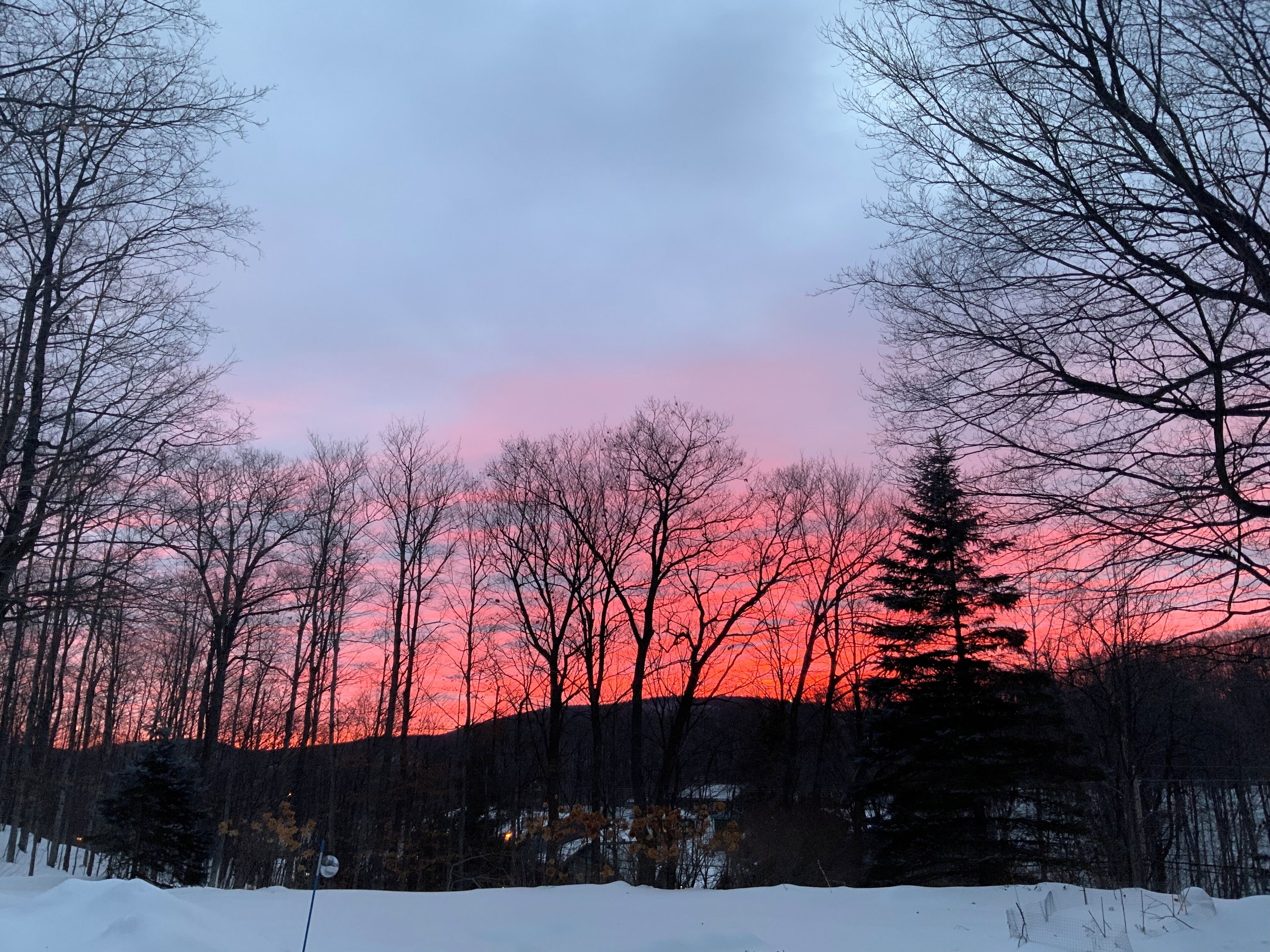 Schneebedeckte Landschaft mit kahlen Bäumen und einem Sonnenuntergangshimmel.