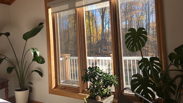 Una habitación con un ventanal grande, techo de madera y varias plantas en macetas.