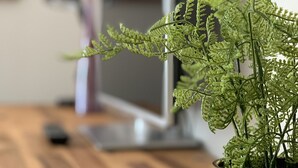 Interior detail - Federal Apartments (Auckland)