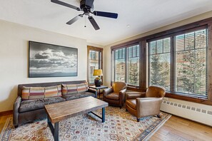 Flat-screen TV, fireplace, DVD player