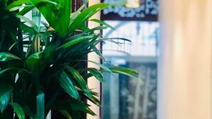 جلسات تدليك بالأحجار الساخنة، جلسات تدليك سويدي، جلسات تدليك