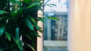 Hot stone massages, Swedish massages, massages