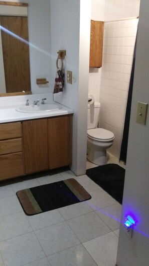 Combined shower/bathtub, towels, toilet paper - Northwest Territory Coach House (Athens)