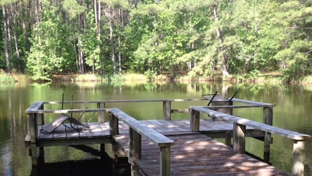 Une jetée en bois s’étendant sur un lac paisible, entouré d’une forêt dense.