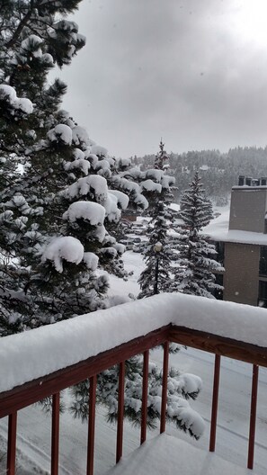 Property grounds - Beautiful views and easy walk to the lifts..... (Angel Fire)