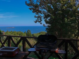 Vista del balcón