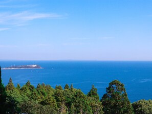 A coastal landscape with a clear view of the sea and a distant island.