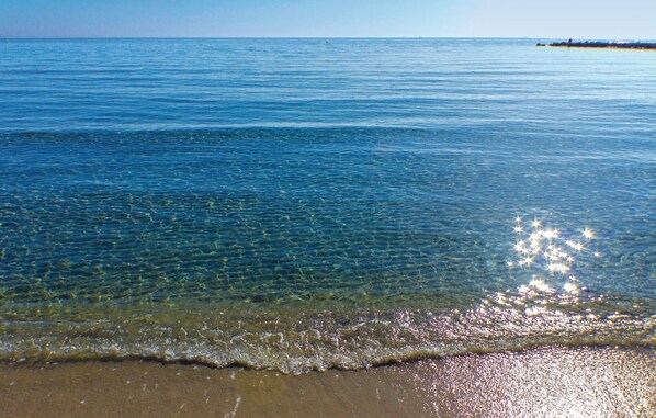 Vlak bij het strand, vissen