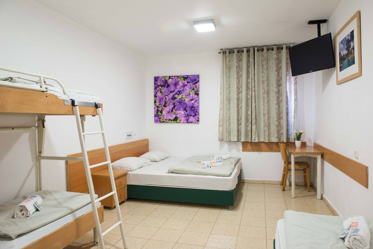 A dormitory room with bunk beds, a desk, a chair, a TV, and a window with curtains.