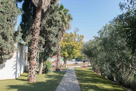 Taman