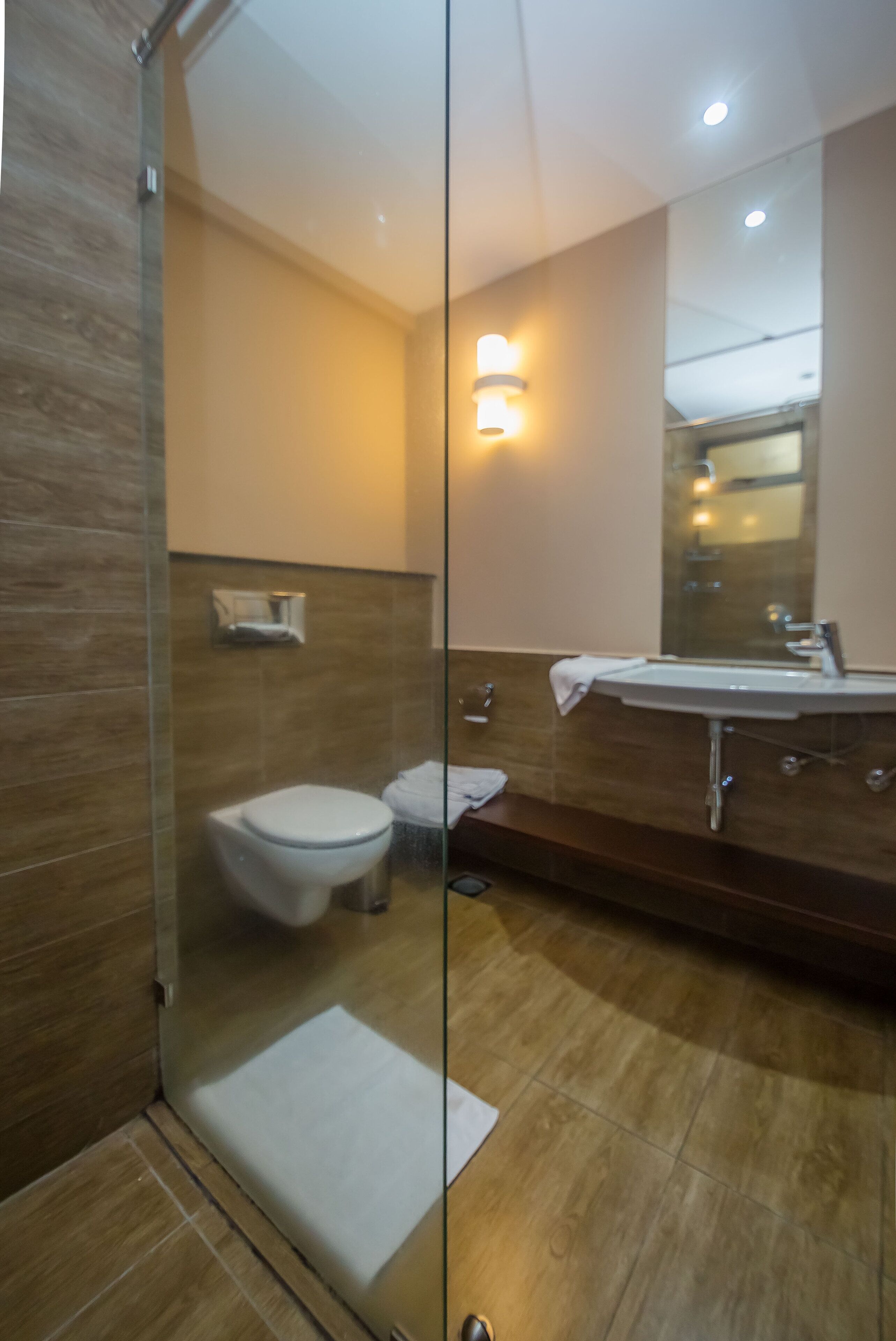 A modern bathroom with a glass shower enclosure, a white toilet, and a large mirror above the sink.