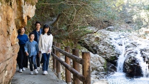 Una familia caminando por un sendero de piedra junto a una cascada.
