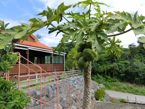 基本單棟房屋, 花園景 | 園景