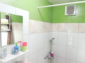 Une salle de bain avec des carreaux verts et blancs, une douche, un lavabo avec des articles de toilette et un miroir.