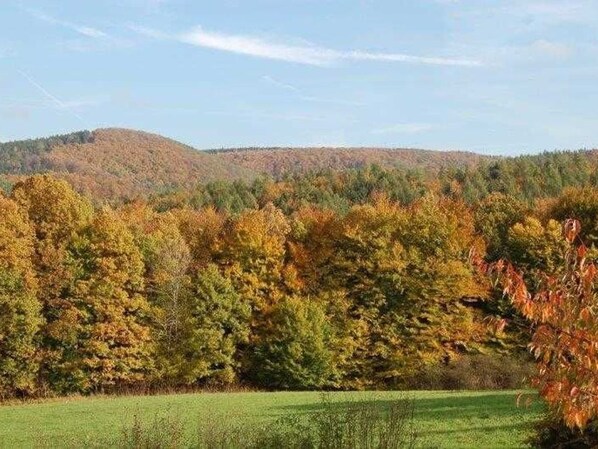 Unclassified image, 1 of 10, button