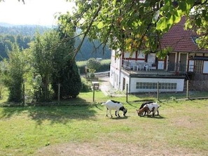 Enceinte de lâhĂ©bergement
