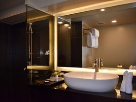 Un baño moderno con un lavamanos ovalado grande, una cabina de ducha de vidrio y un espejo que refleja el cuarto.