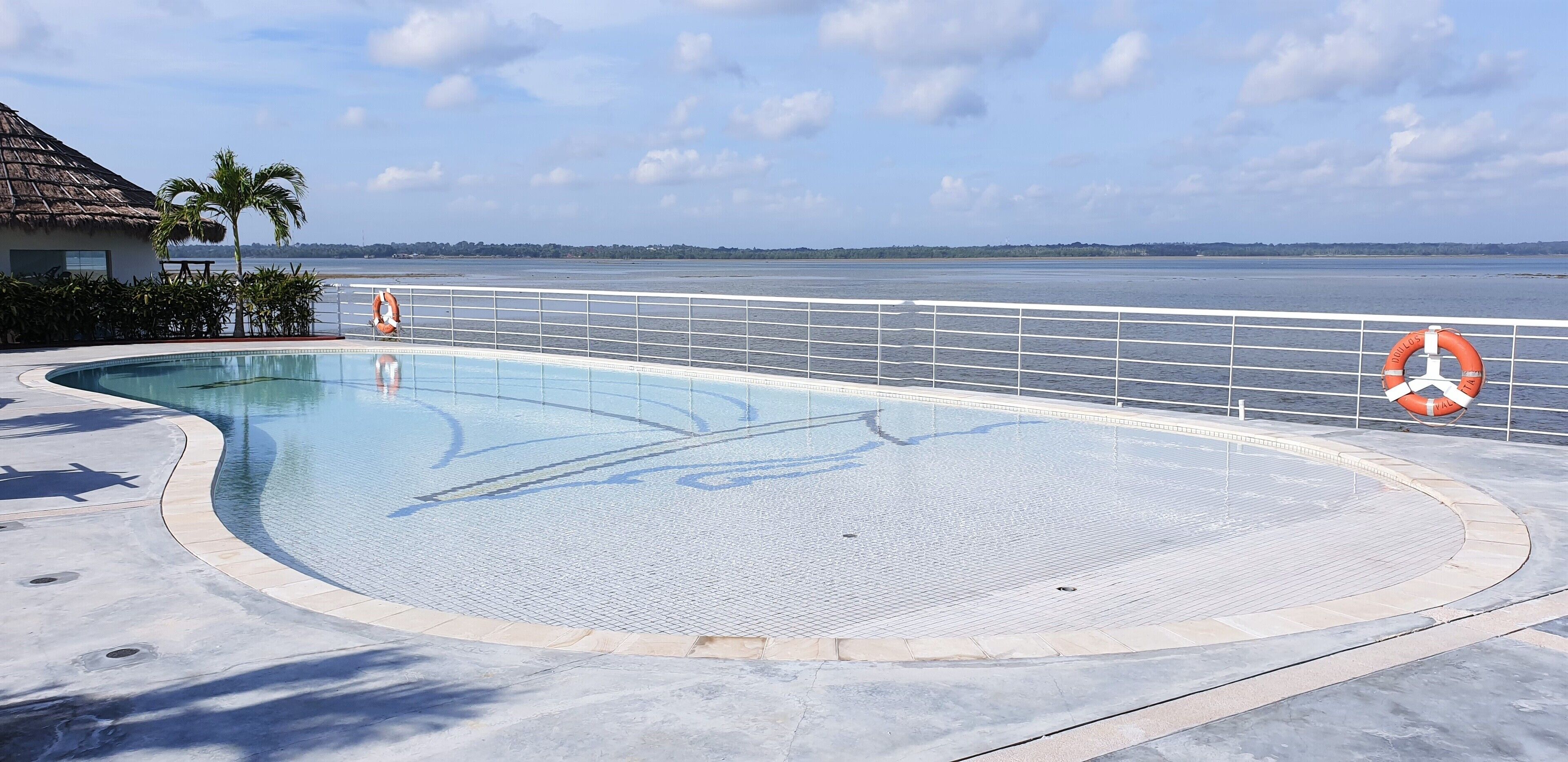 A pool with a lifebuoy, a palm tree, and a view of the sea.
