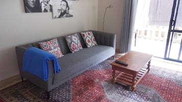 Een televisie, een dvd-speler, boeken en een filmbibliotheek